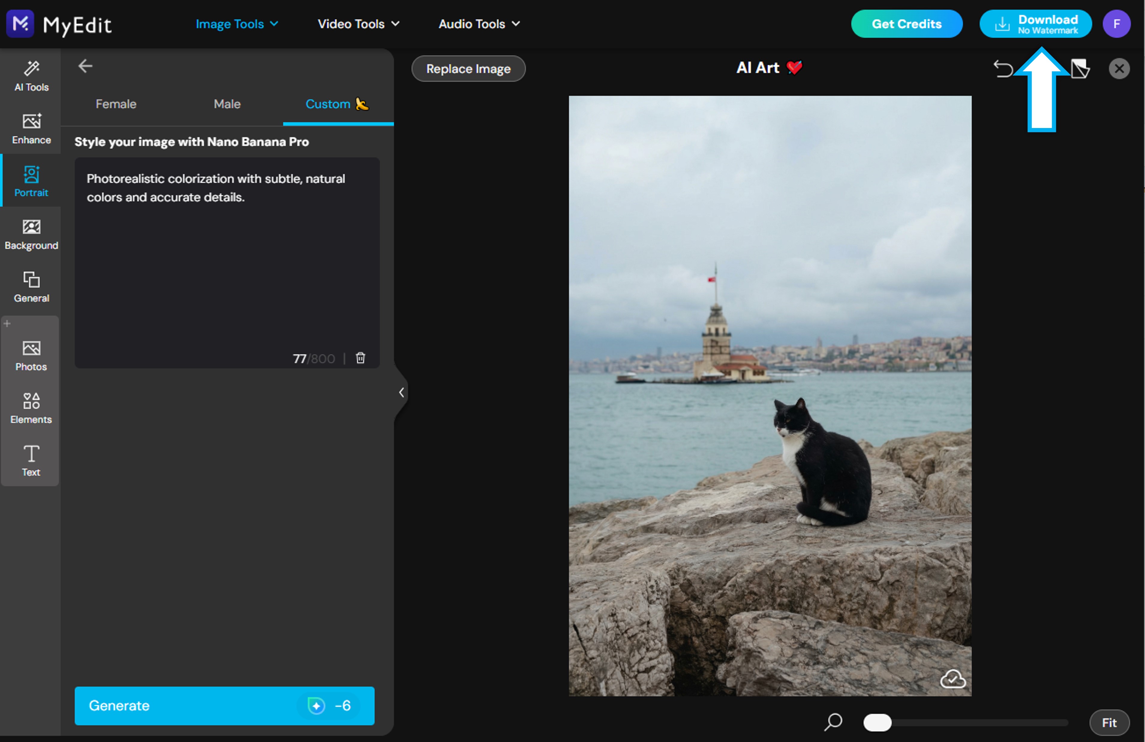 Colorize a photo tutorial - Step 4 