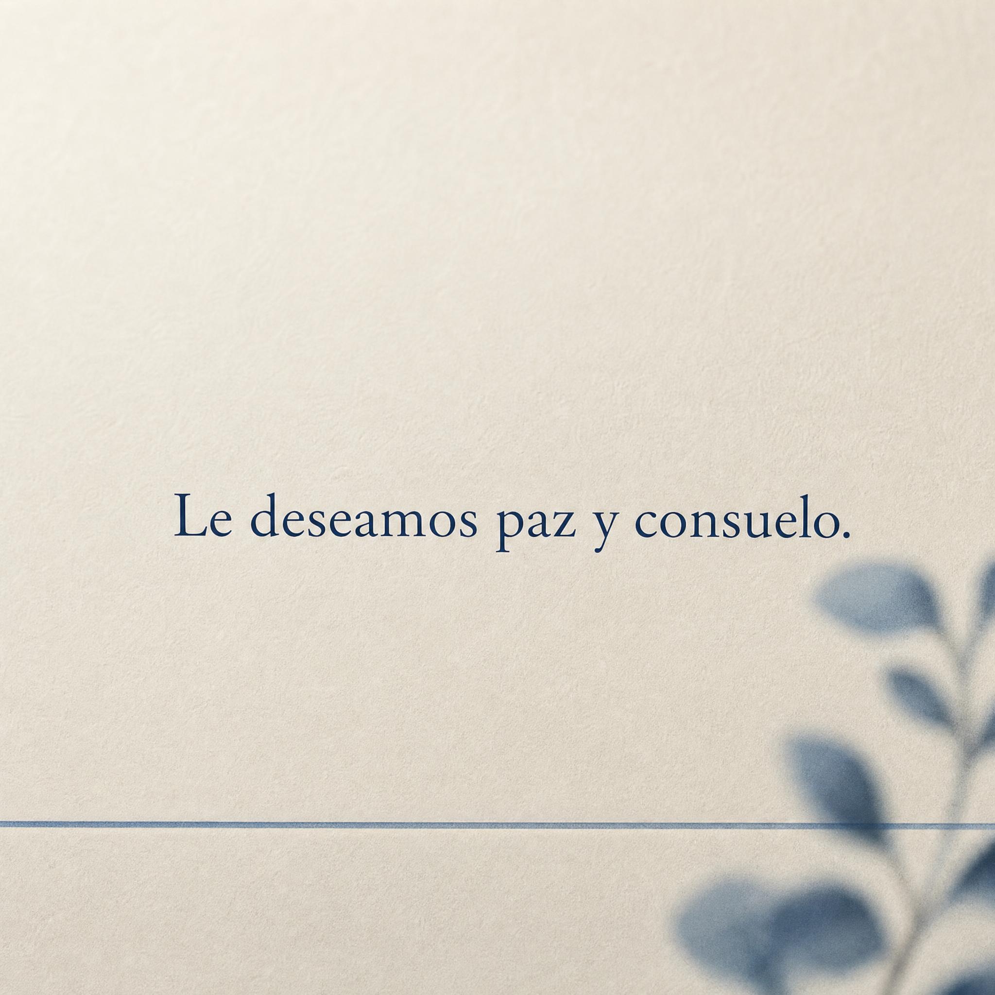 Tarjeta de condolencias formal con la frase: Le deseamos paz y consuelo