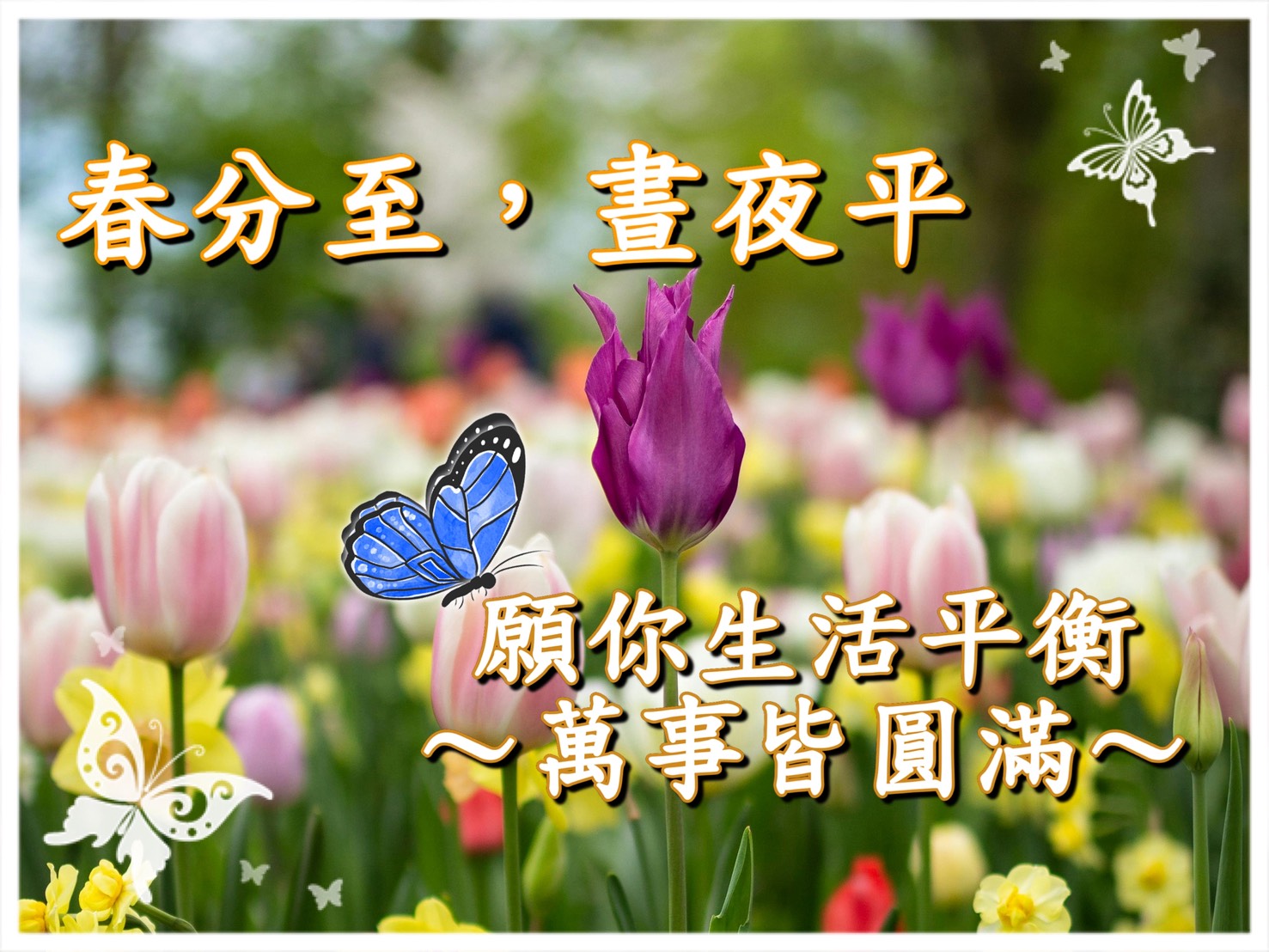 春分早安圖範例