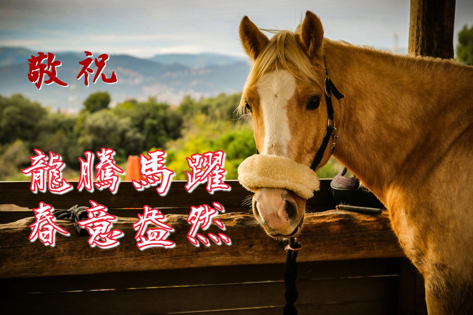 馬年吉祥話