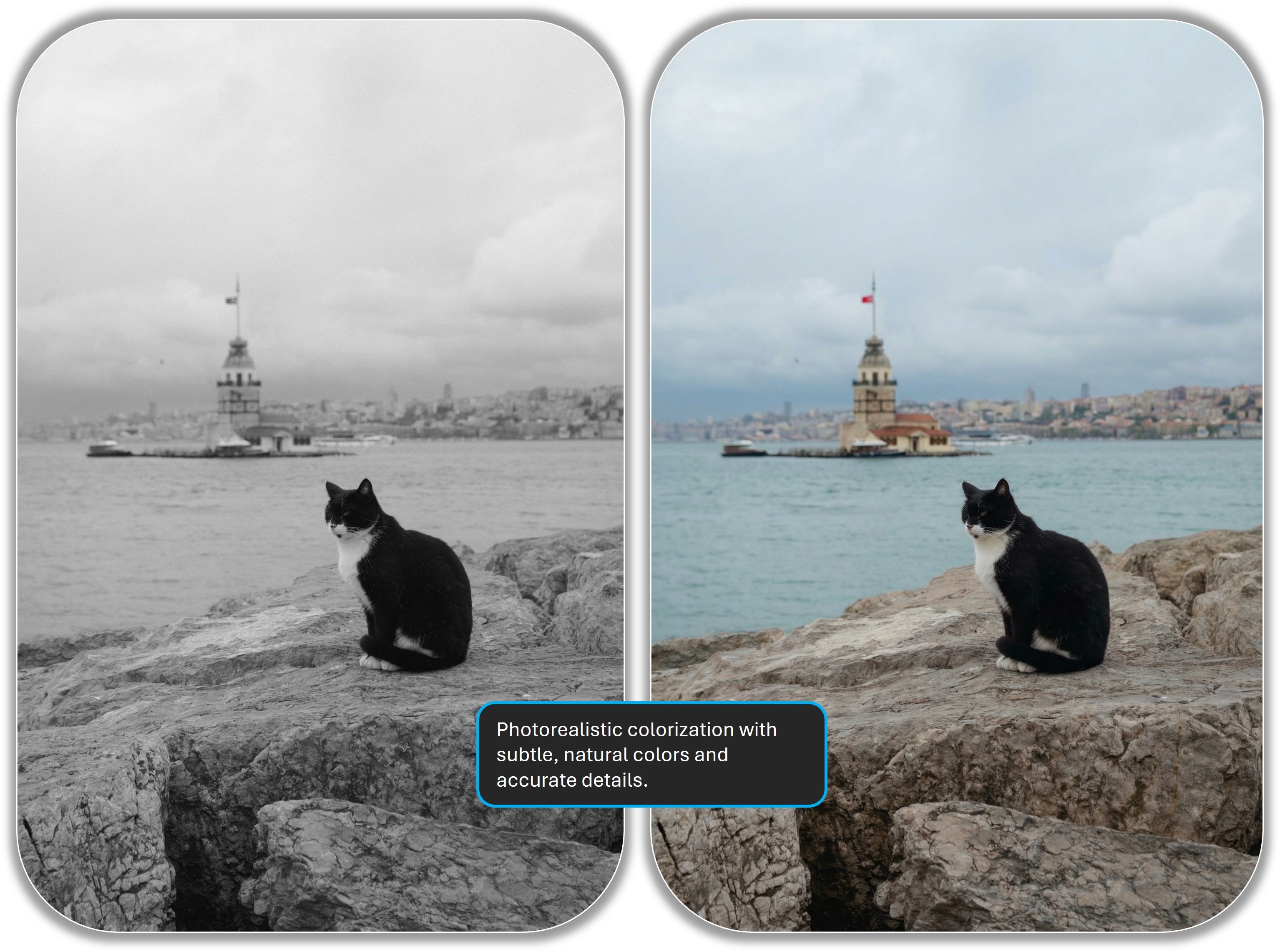 Colorize a photo demo 