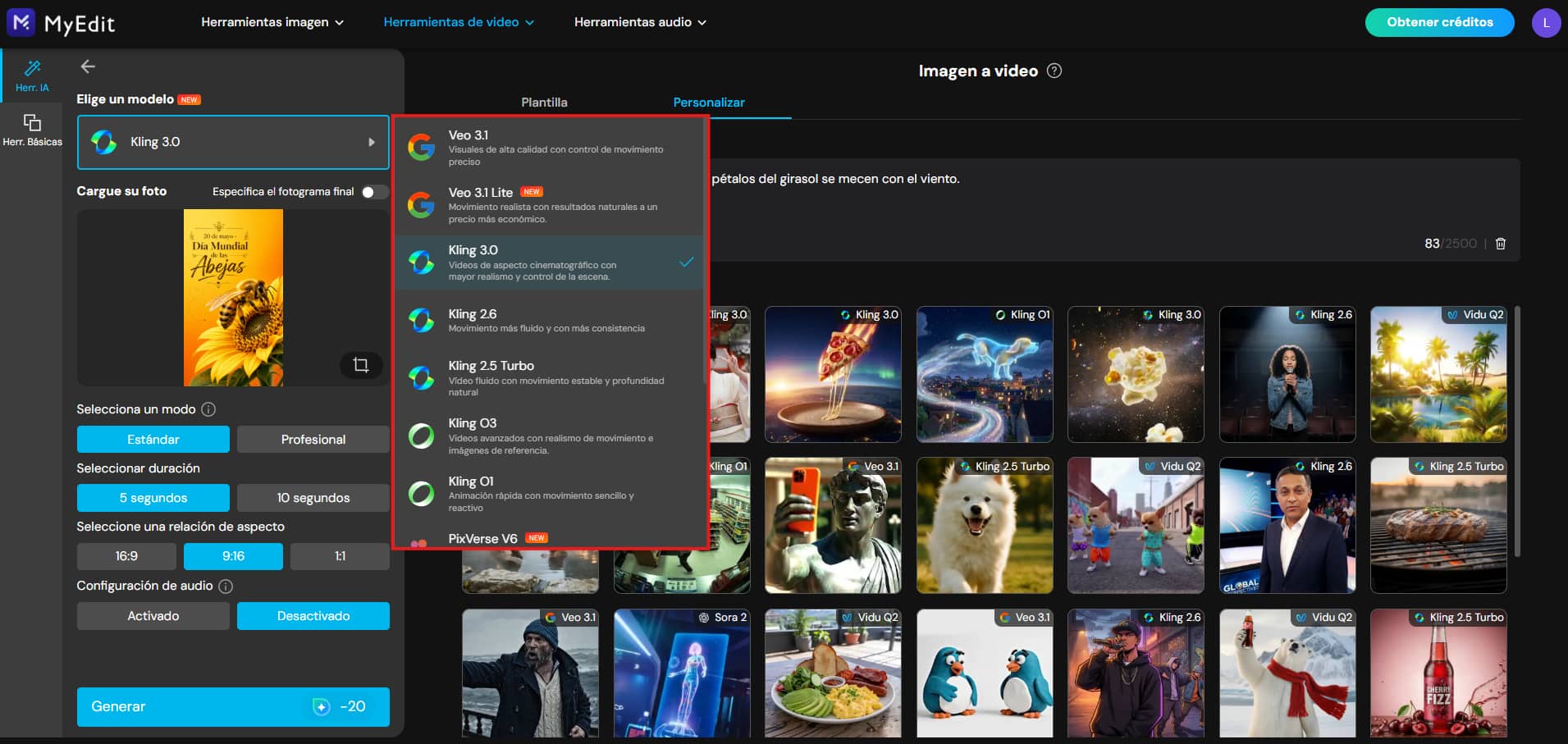 Configuración de formato en la herramienta Imagen a video de MyEdit