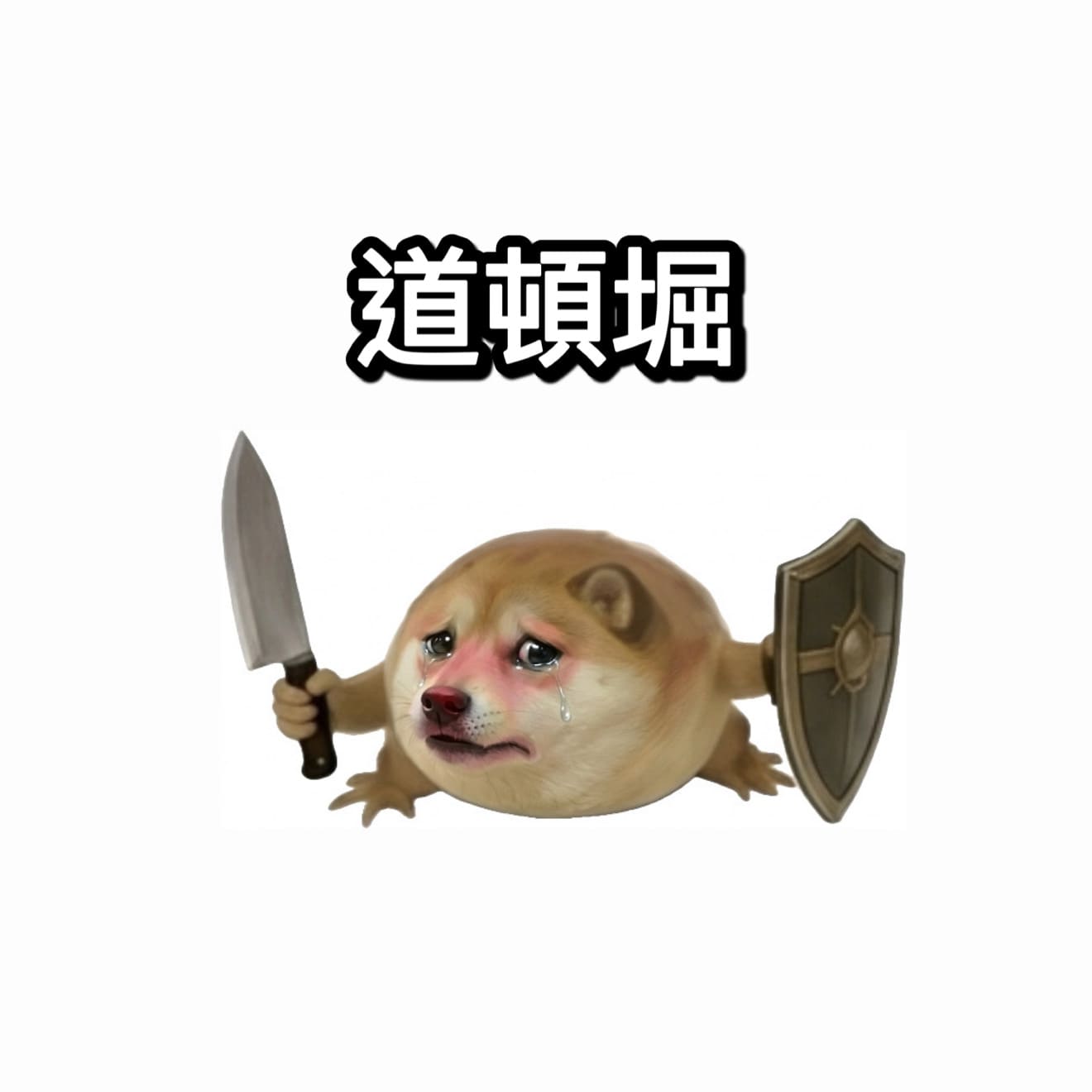 我的刀盾迷因下載圖4