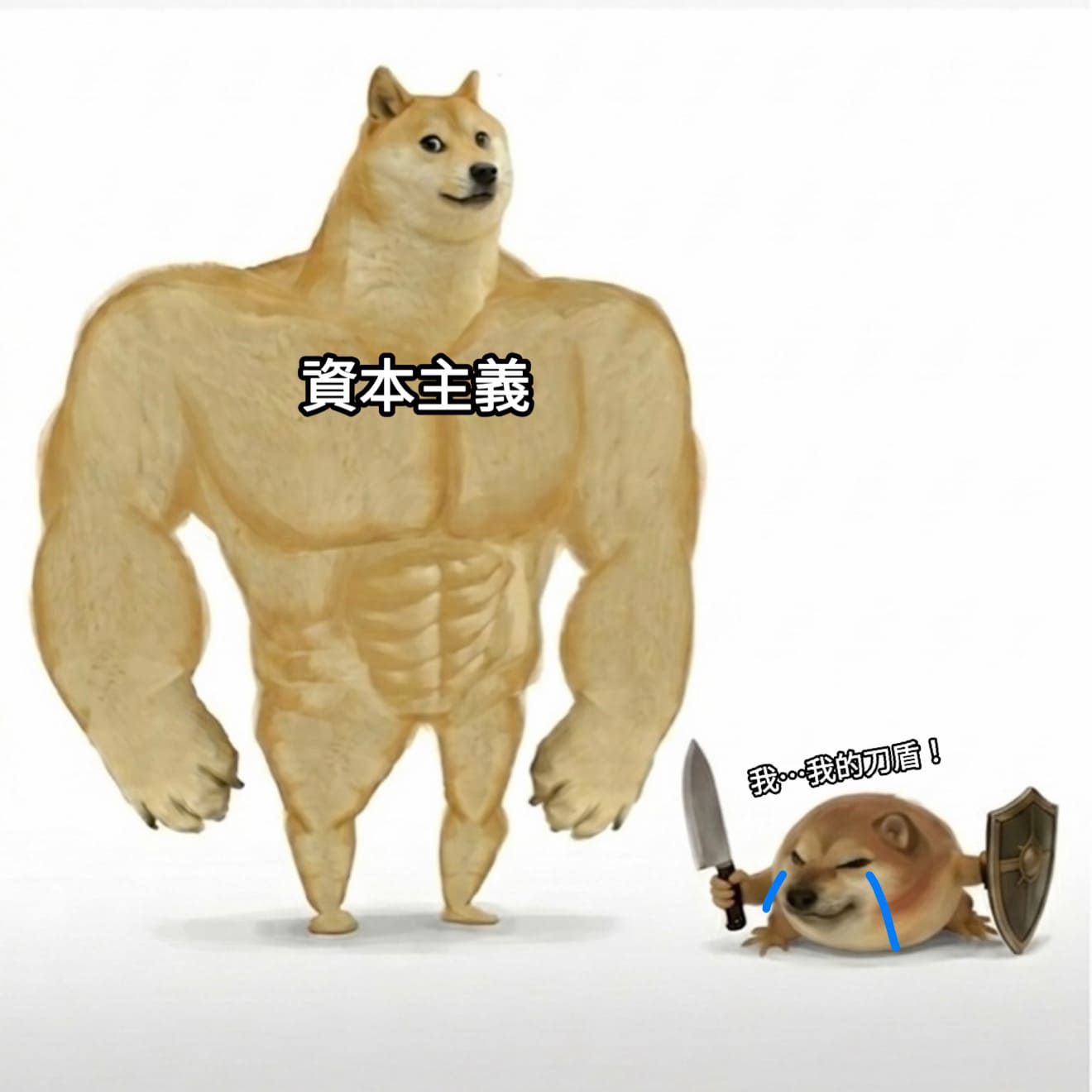 我的刀盾迷因下載圖3