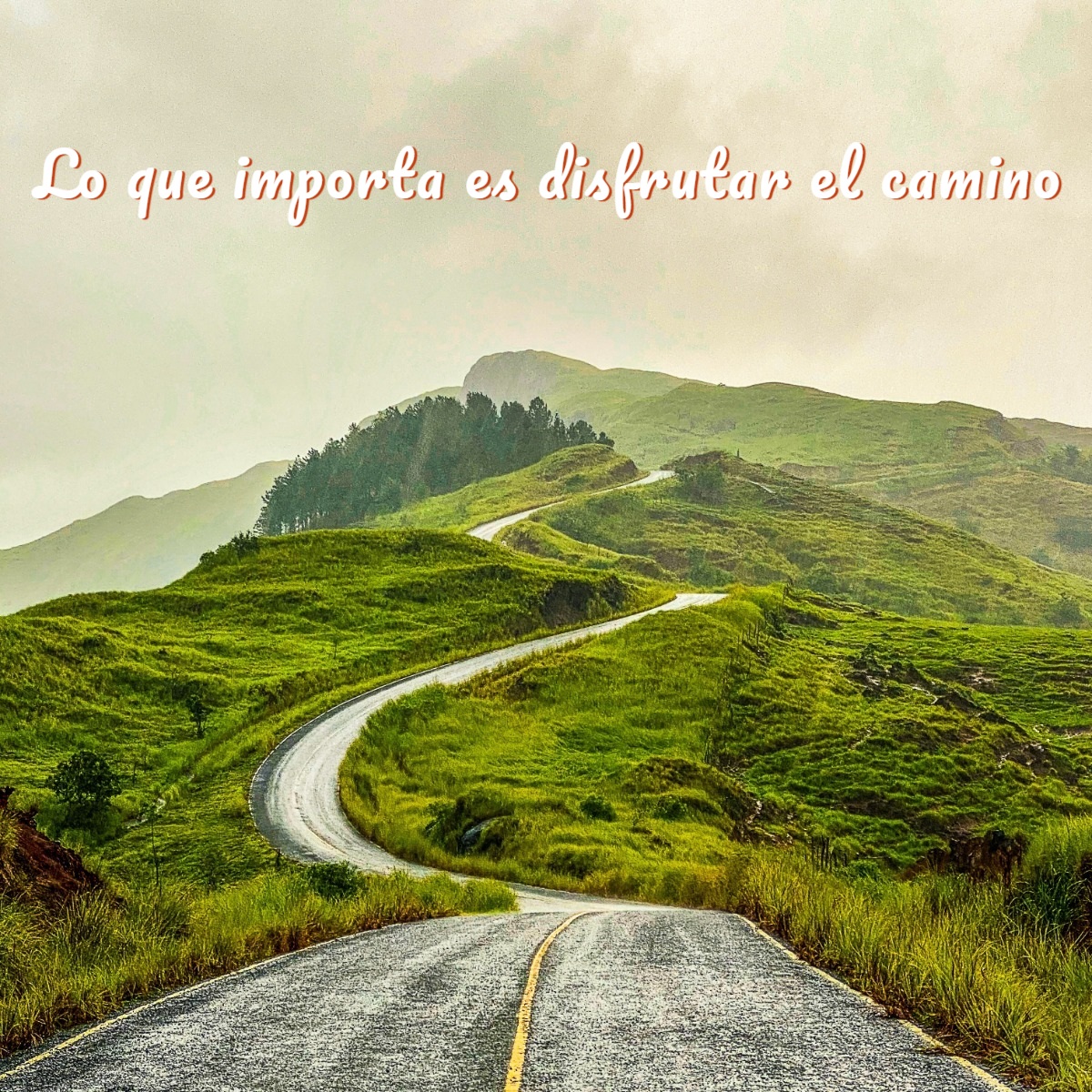 MyEdit - Descargar imagen con texto personalizado añadido - Paso 5