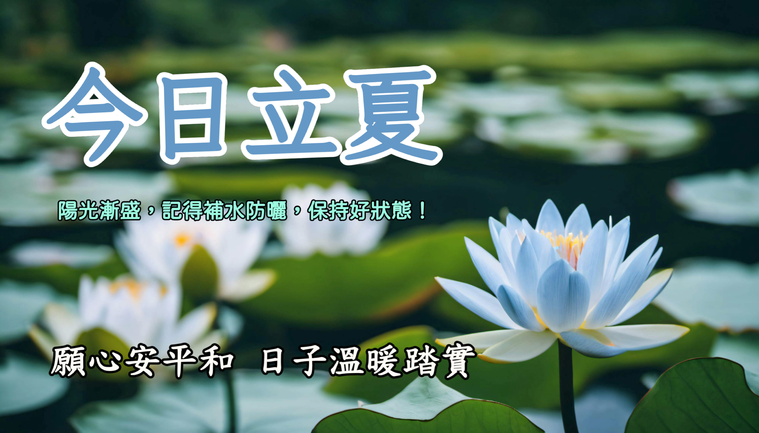 立夏早安圖範例