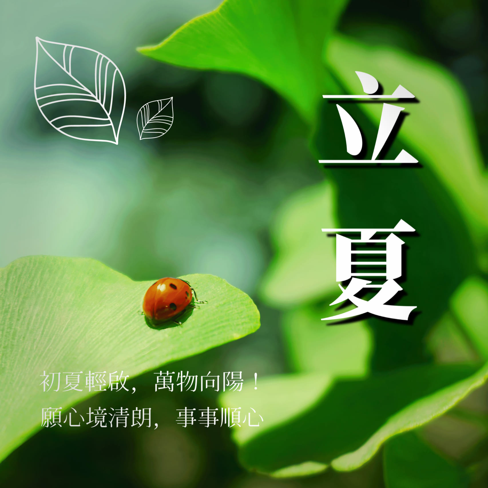 立夏早安圖範例