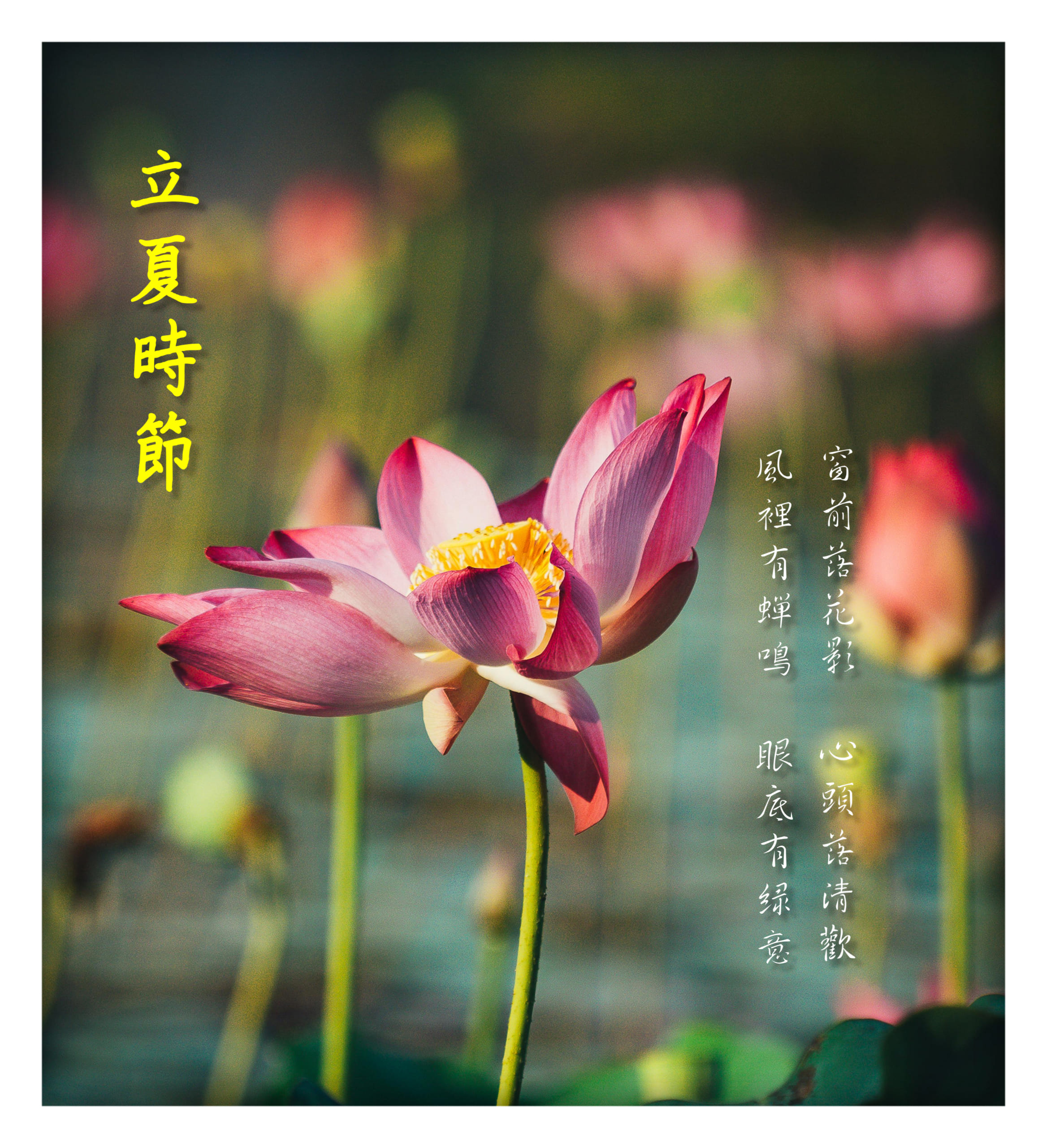 立夏早安圖範例