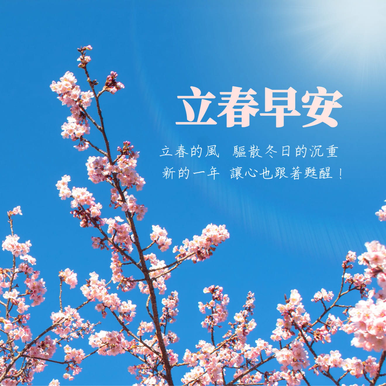 立春早安圖範例