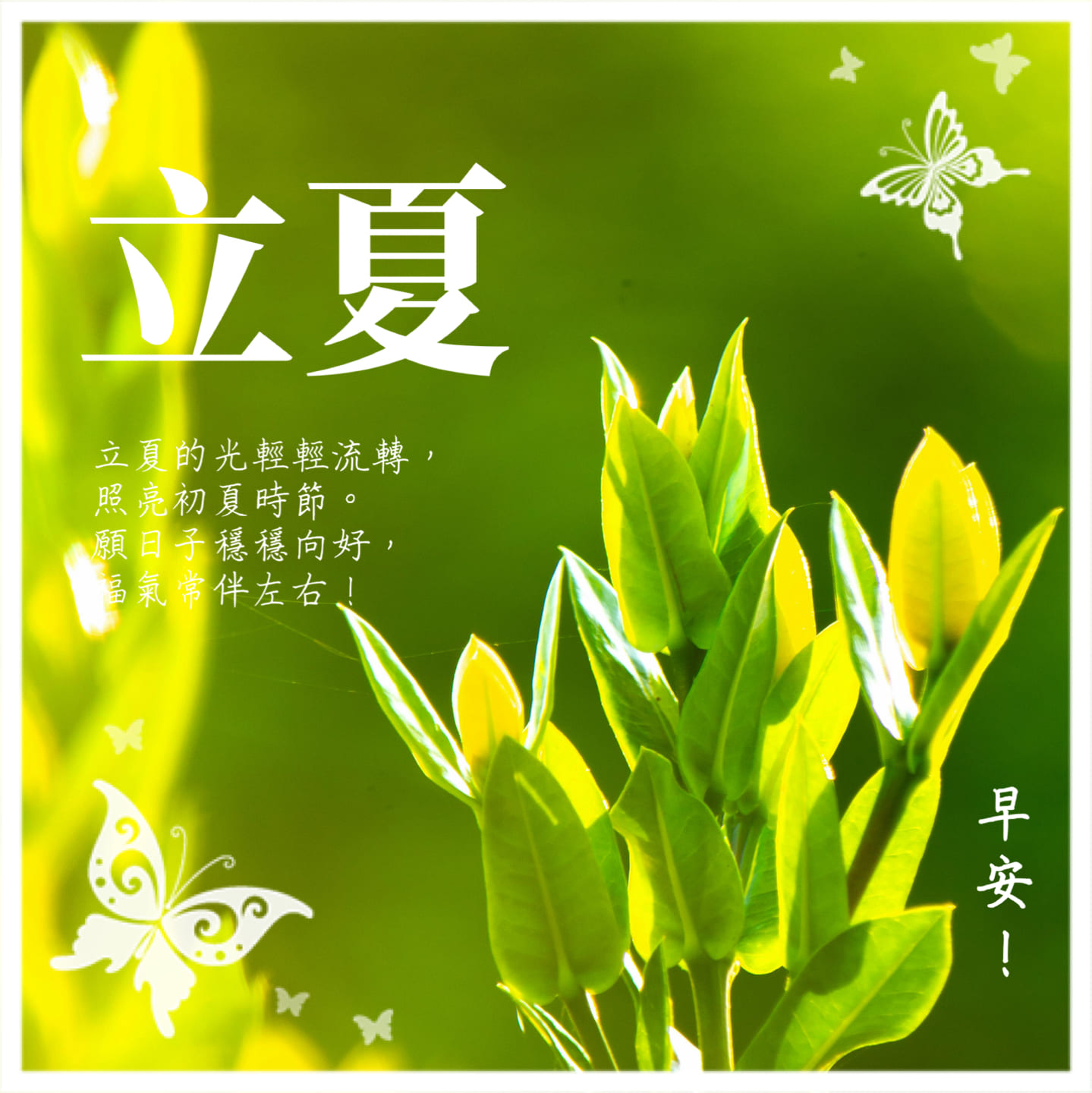 立夏早安圖範例