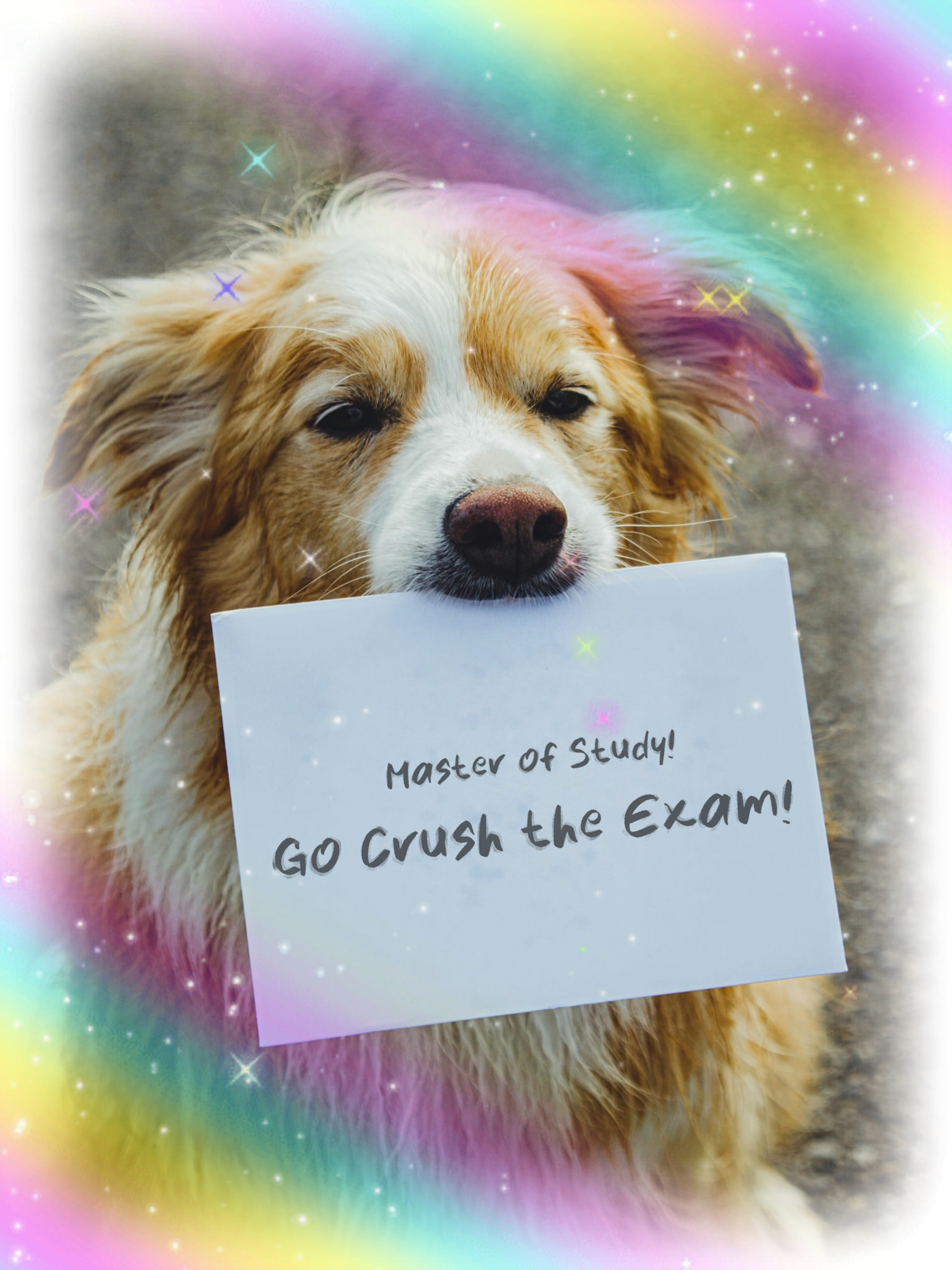 考試祝福語圖卡素材