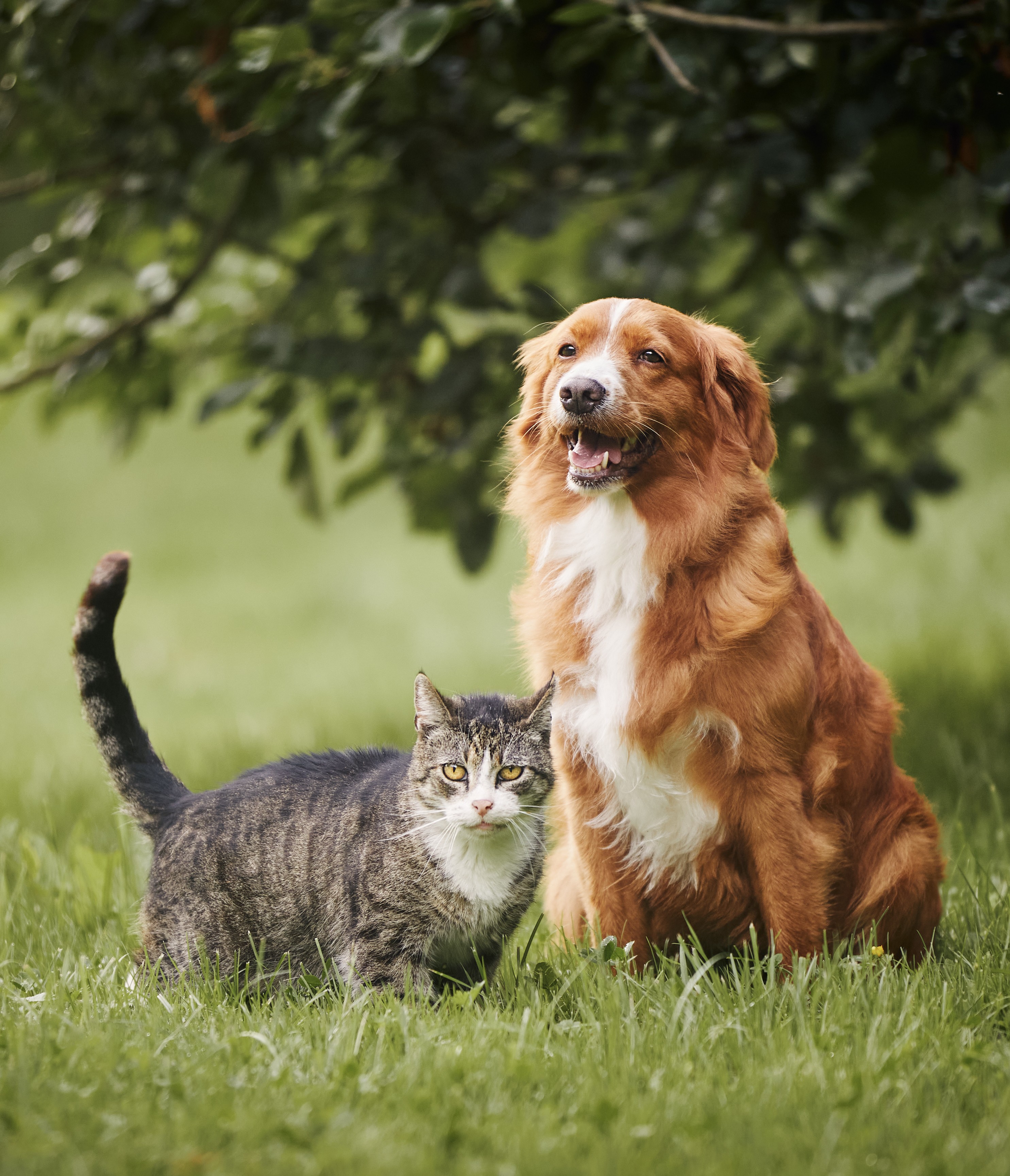 Actionfigur vorher" figclass=