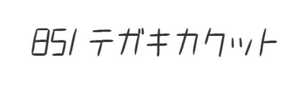 851 テガキカクット
