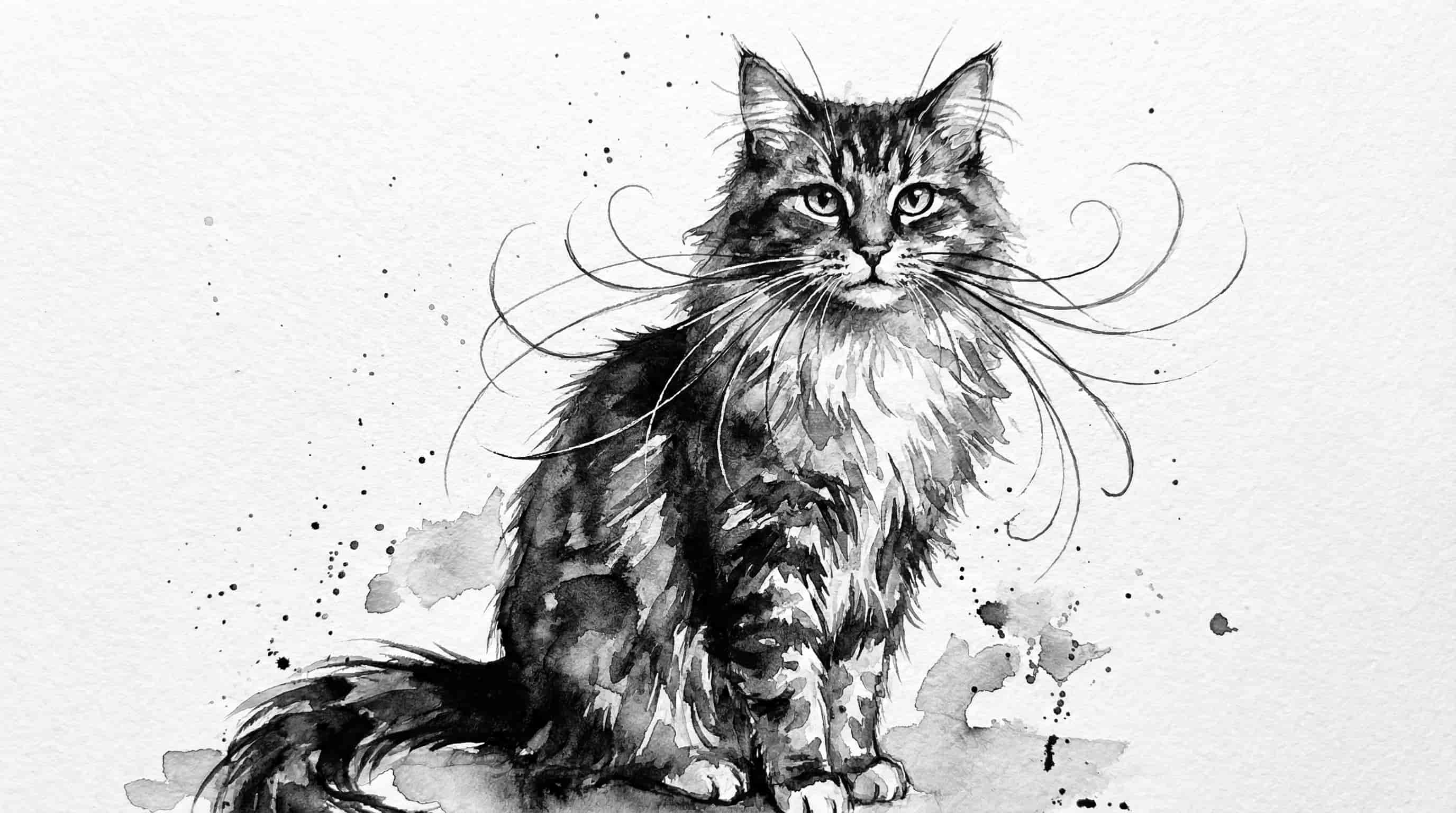 Gato de bigotes largos generado con MyEdit