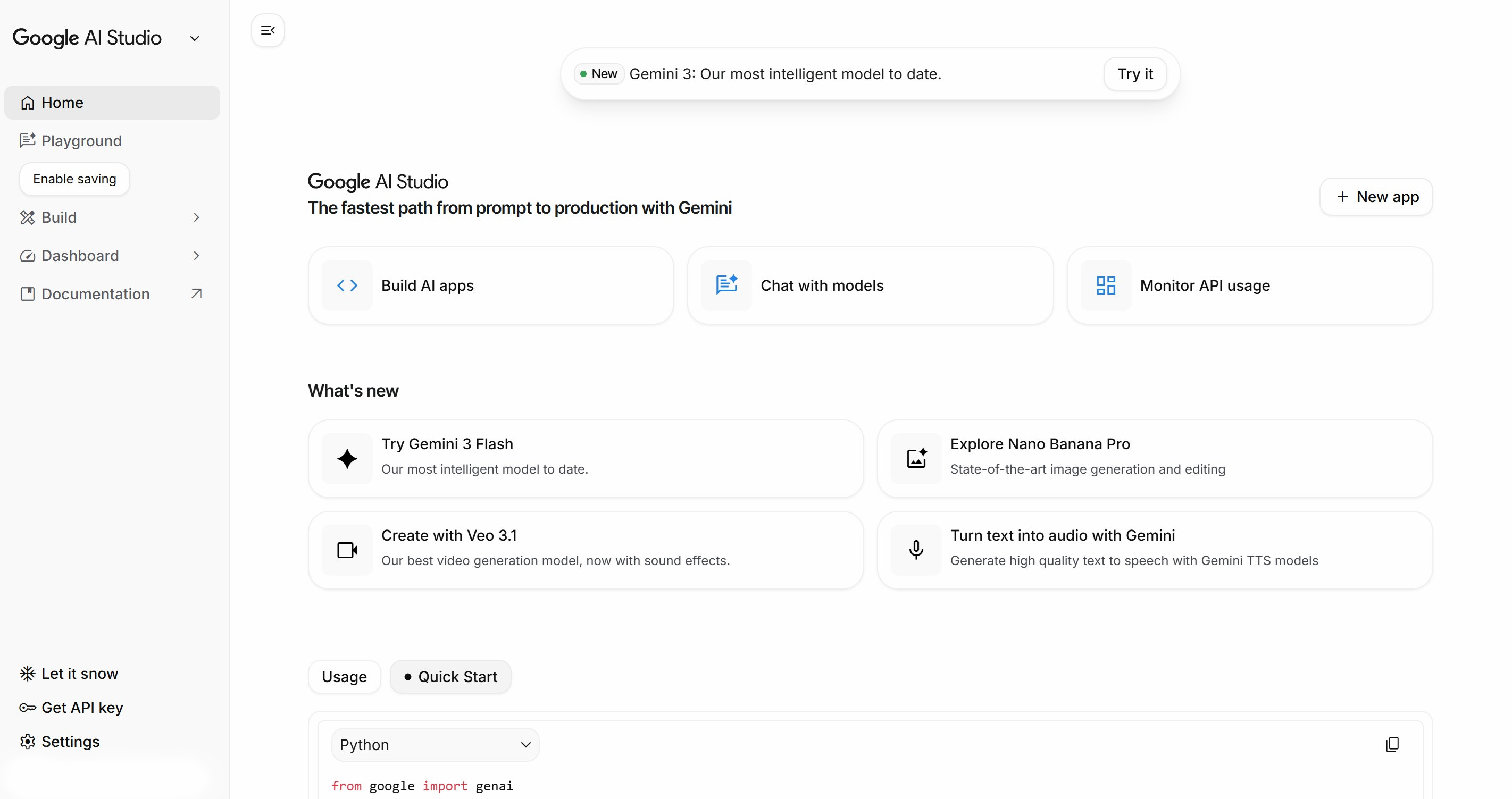 Google AI Studio Interface