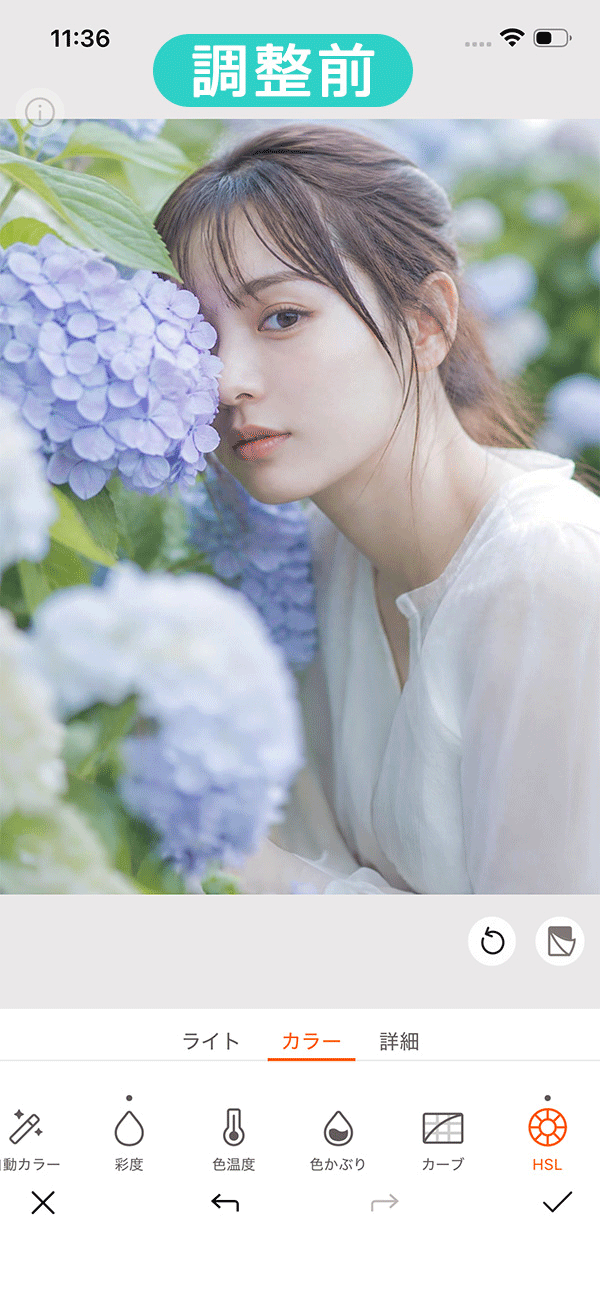 紫陽花ポートレートhsl調整