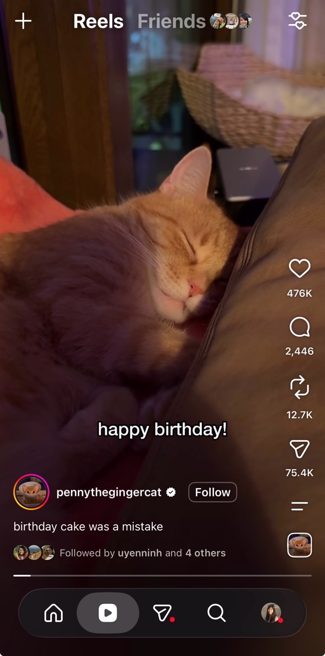 IG Reels 影片截圖