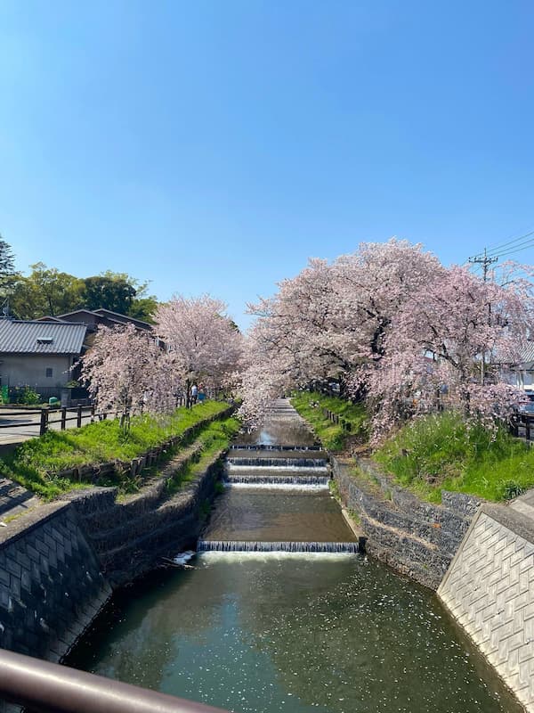 実際にiPhoneで 明るさ調整方法を試した写真