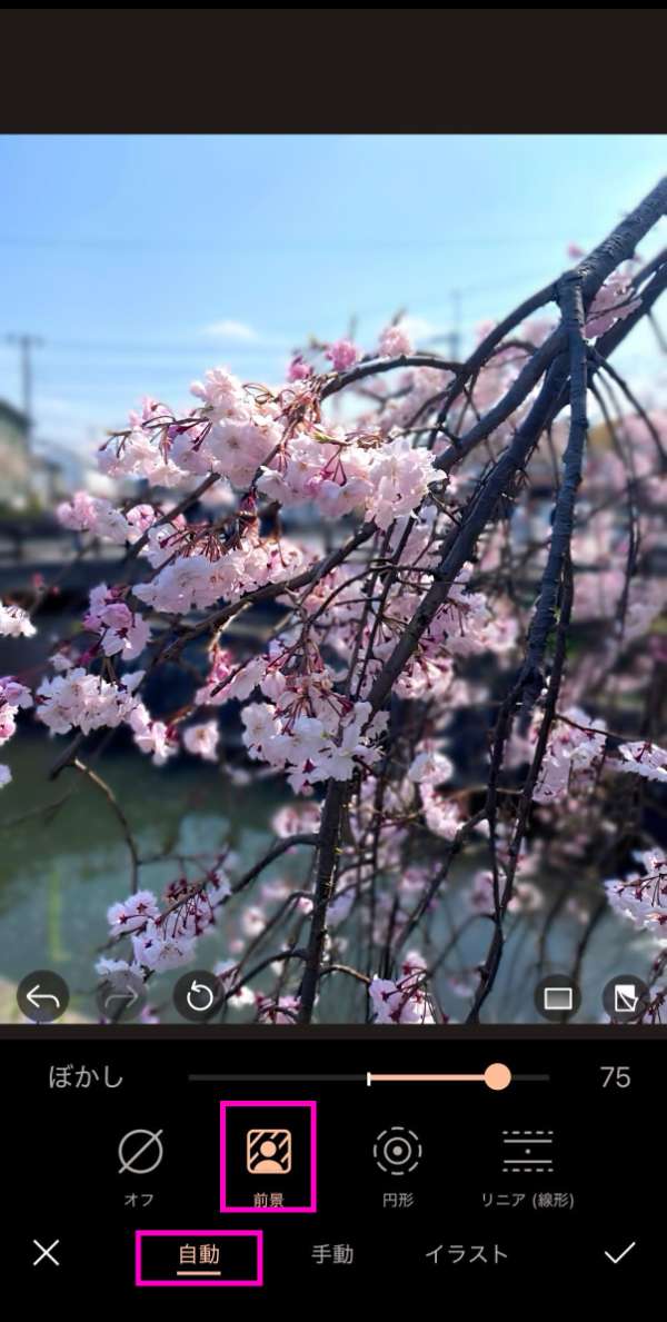 AI編集でぼかしツールで編集した桜写真