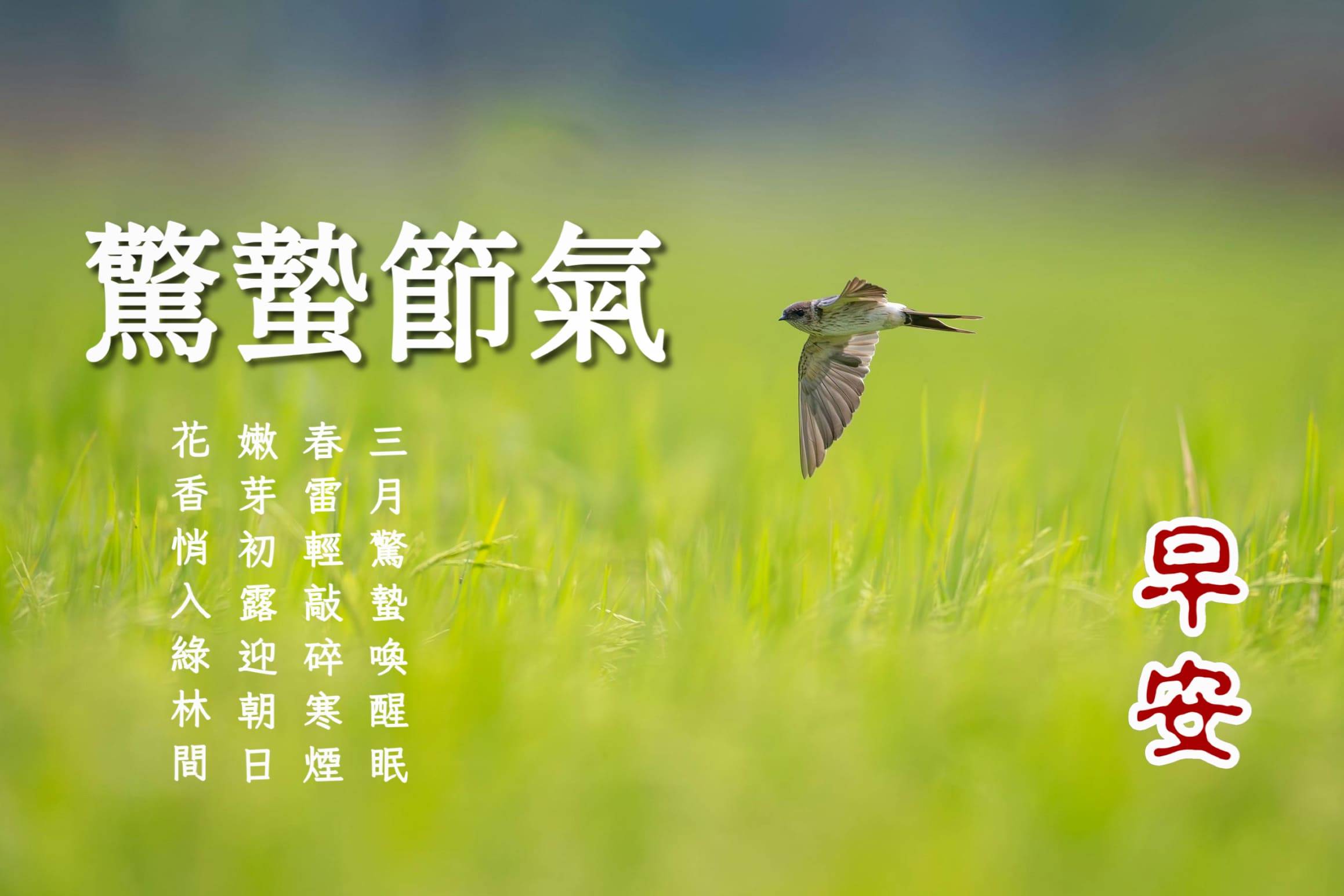 驚蟄早安圖範例