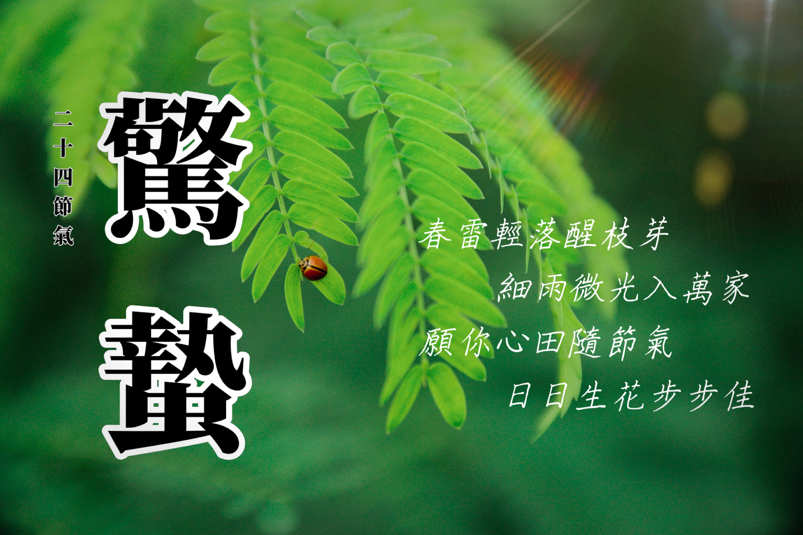 驚蟄早安圖範例