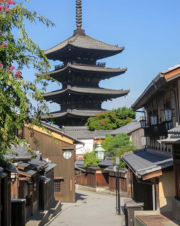 実際現場で撮影した風