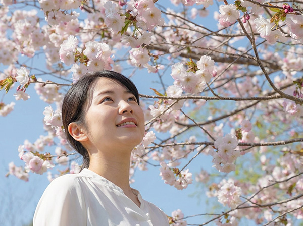 ローアングル例