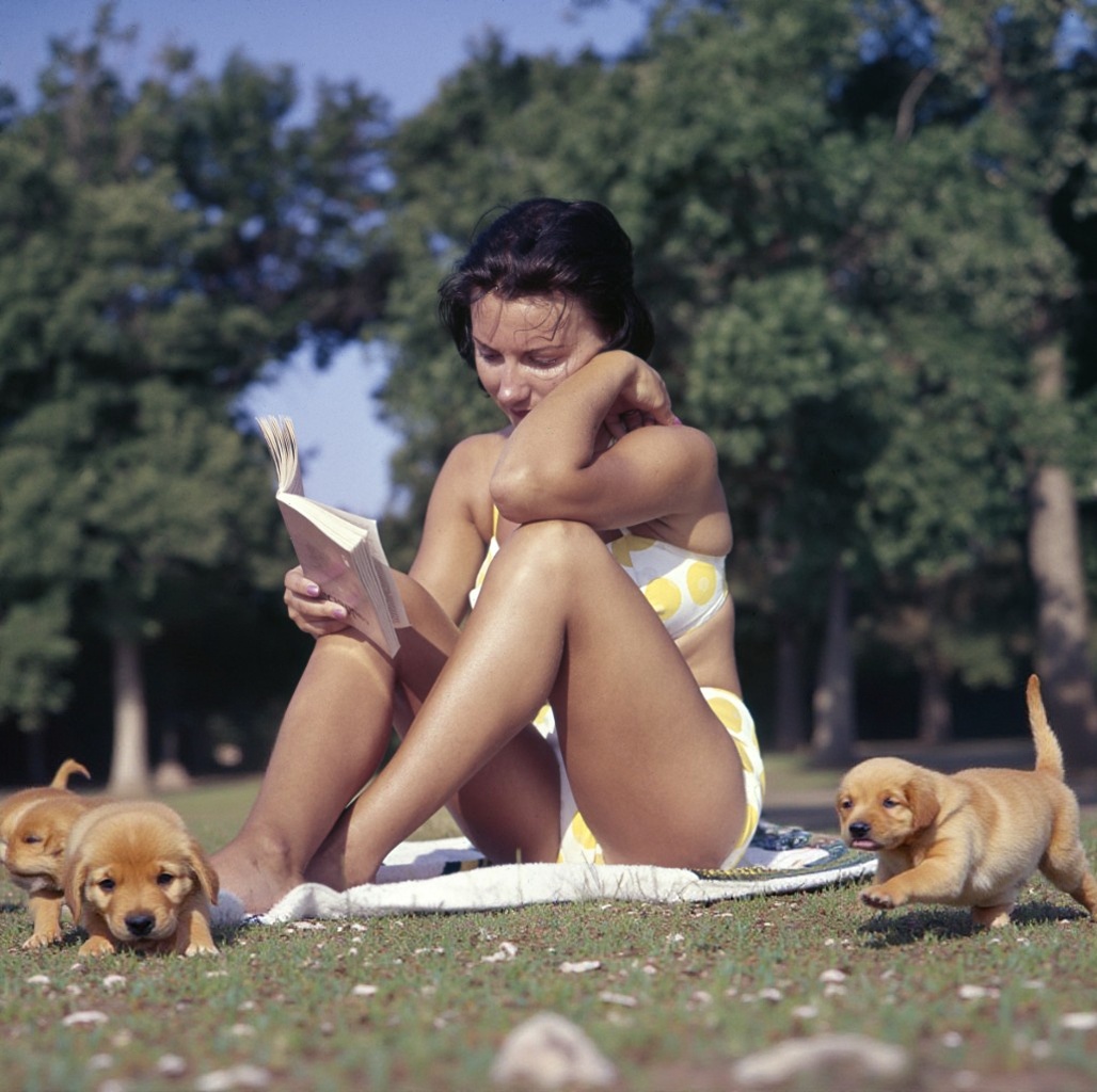 Reemplazo IA de MyEdit