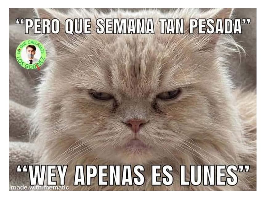 Meme godinez sobre el lunes eterno y el viernes glorioso