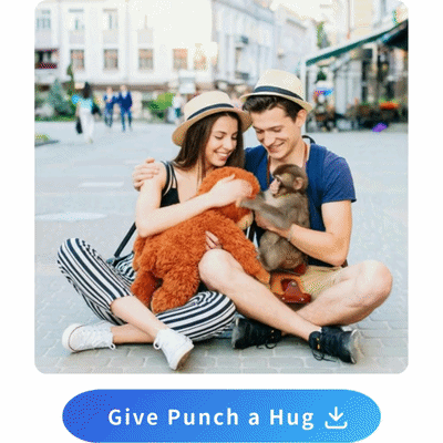 Hug Punch the Monkey: Latest Updates, Viral Video & the Story Behind It