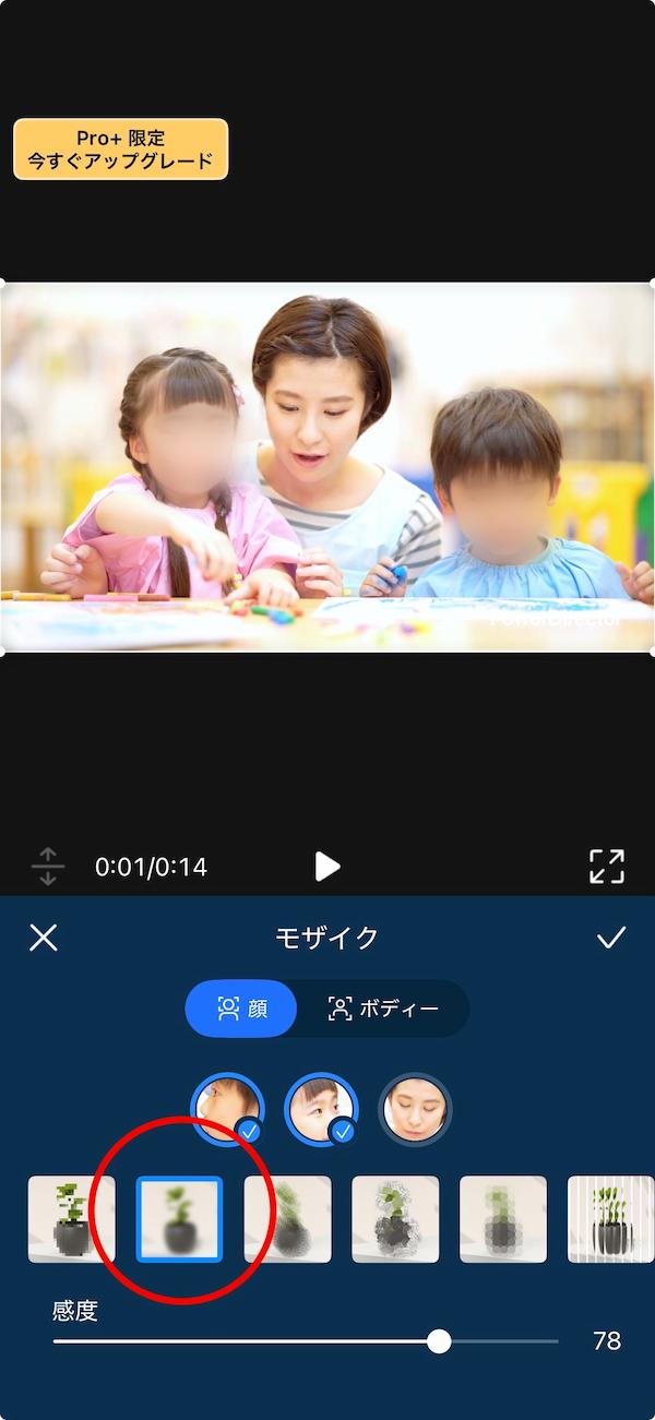モザイクの種類と感度を調整する画面
