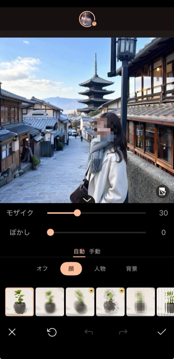 モザイク加工自動