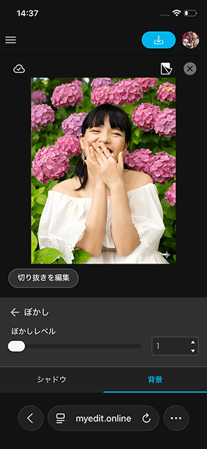 MyEdit 背景ぼかしサンプル画面