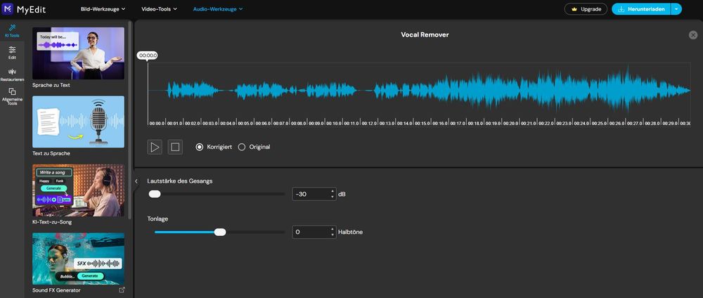 Der MyEdit Vocal Remover