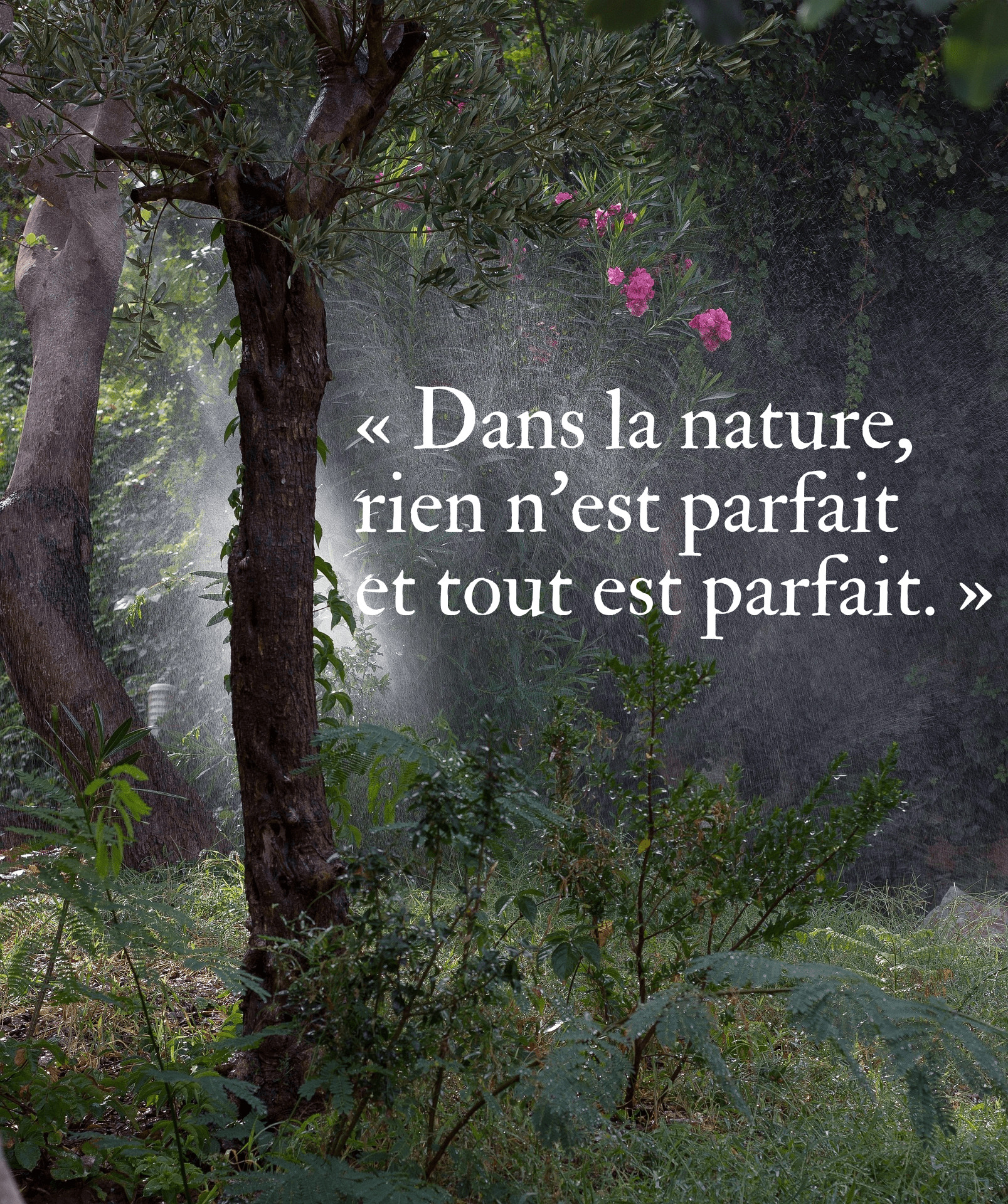 Citations nature populaires