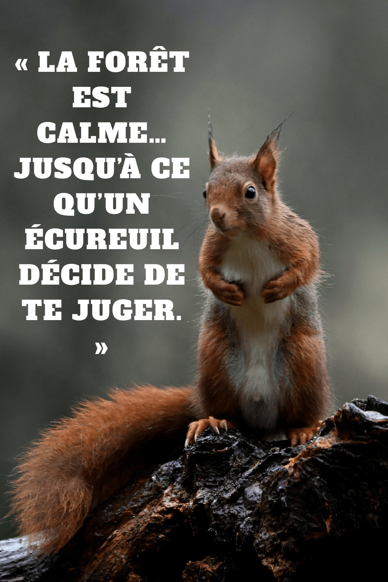 Citations nature drôles