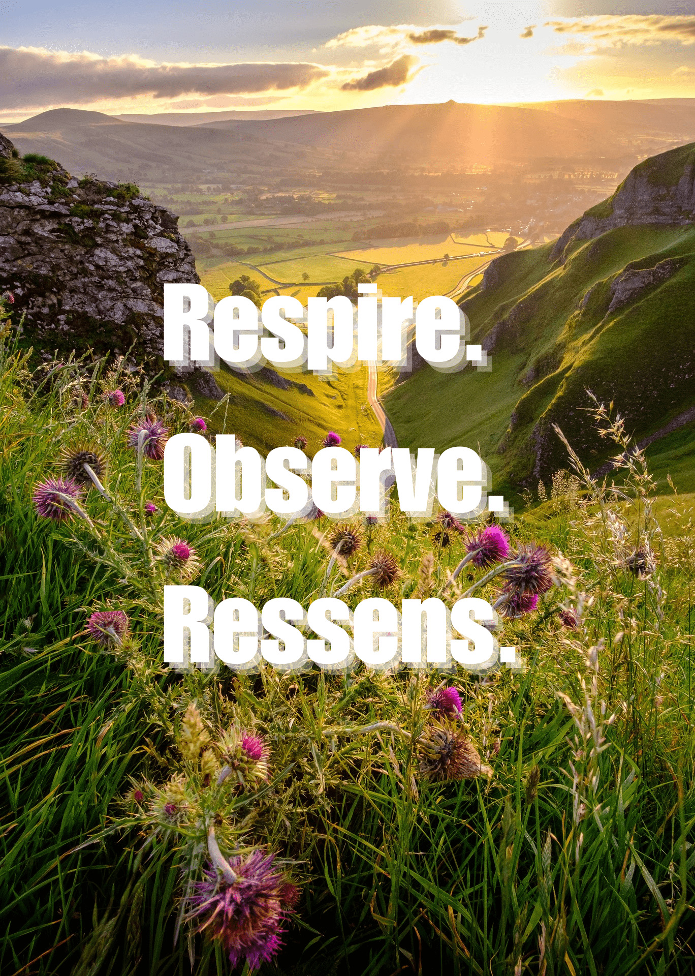 Citations nature courtes