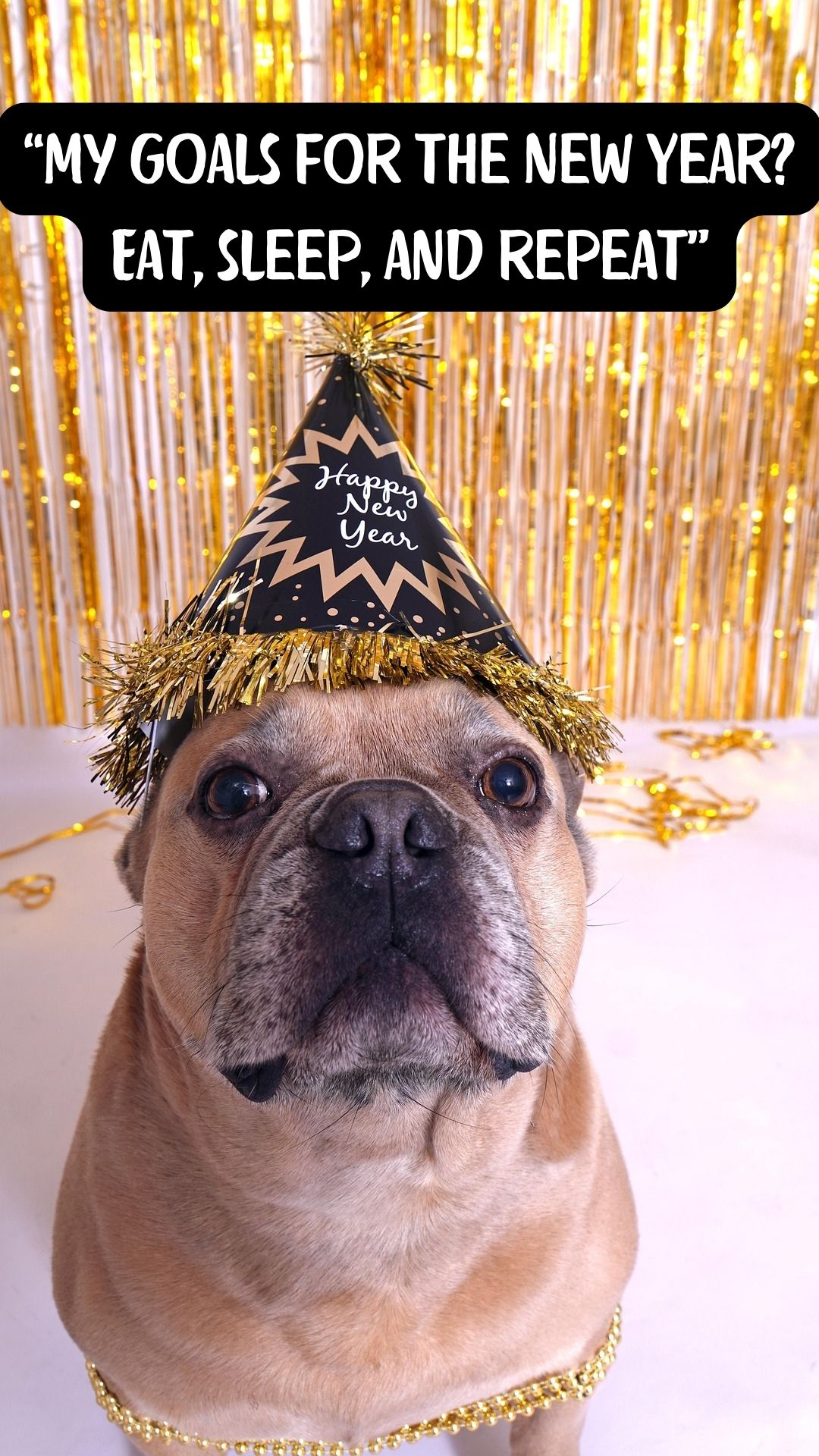 Funny New Year quotes