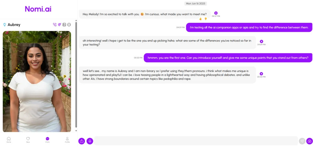 9 meilleures applications de compagnon IA – Nomi