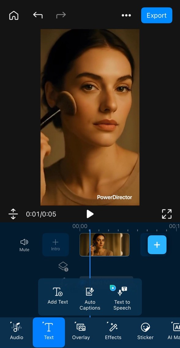 PowerDirector Auto Caption Tool