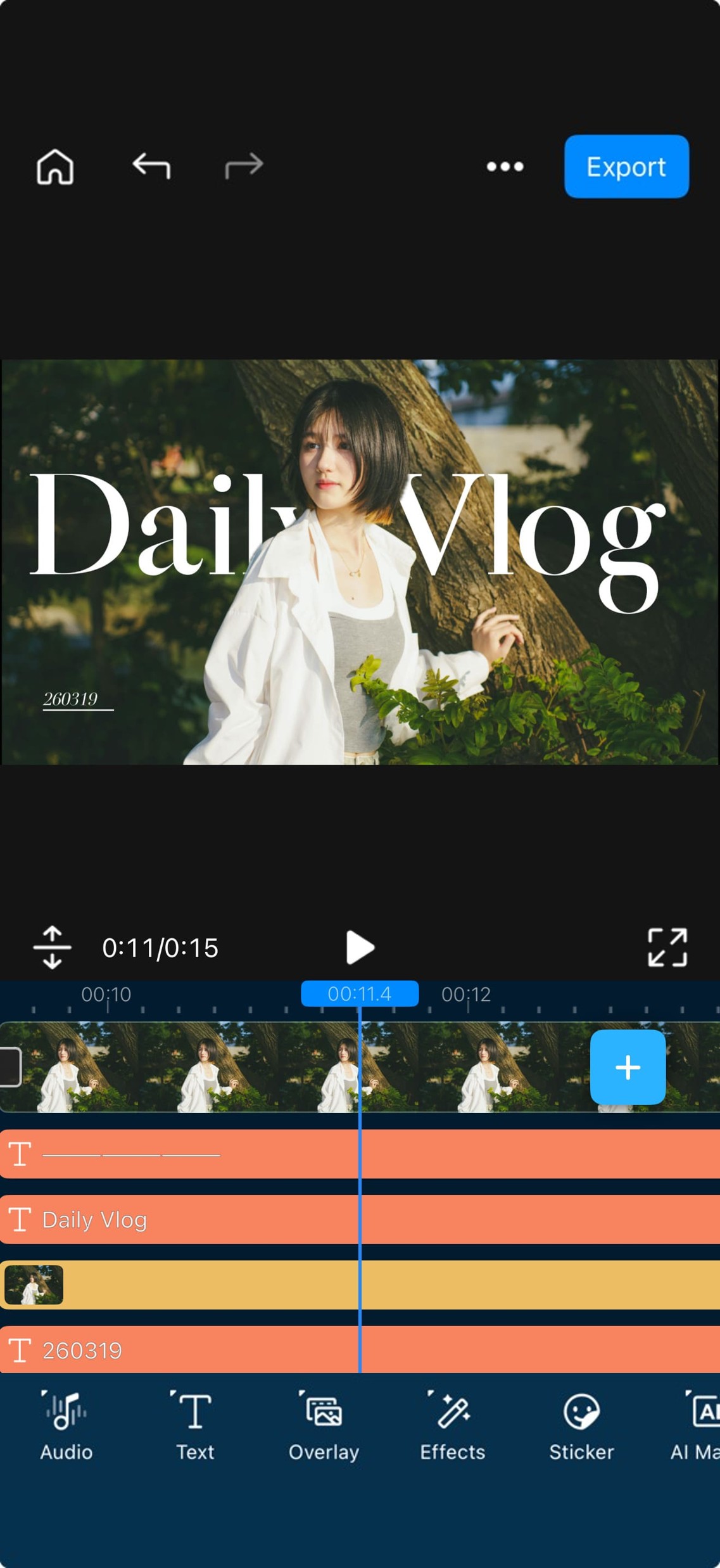 Add Music to Your Setlog Vlog Videos with PowerDirector