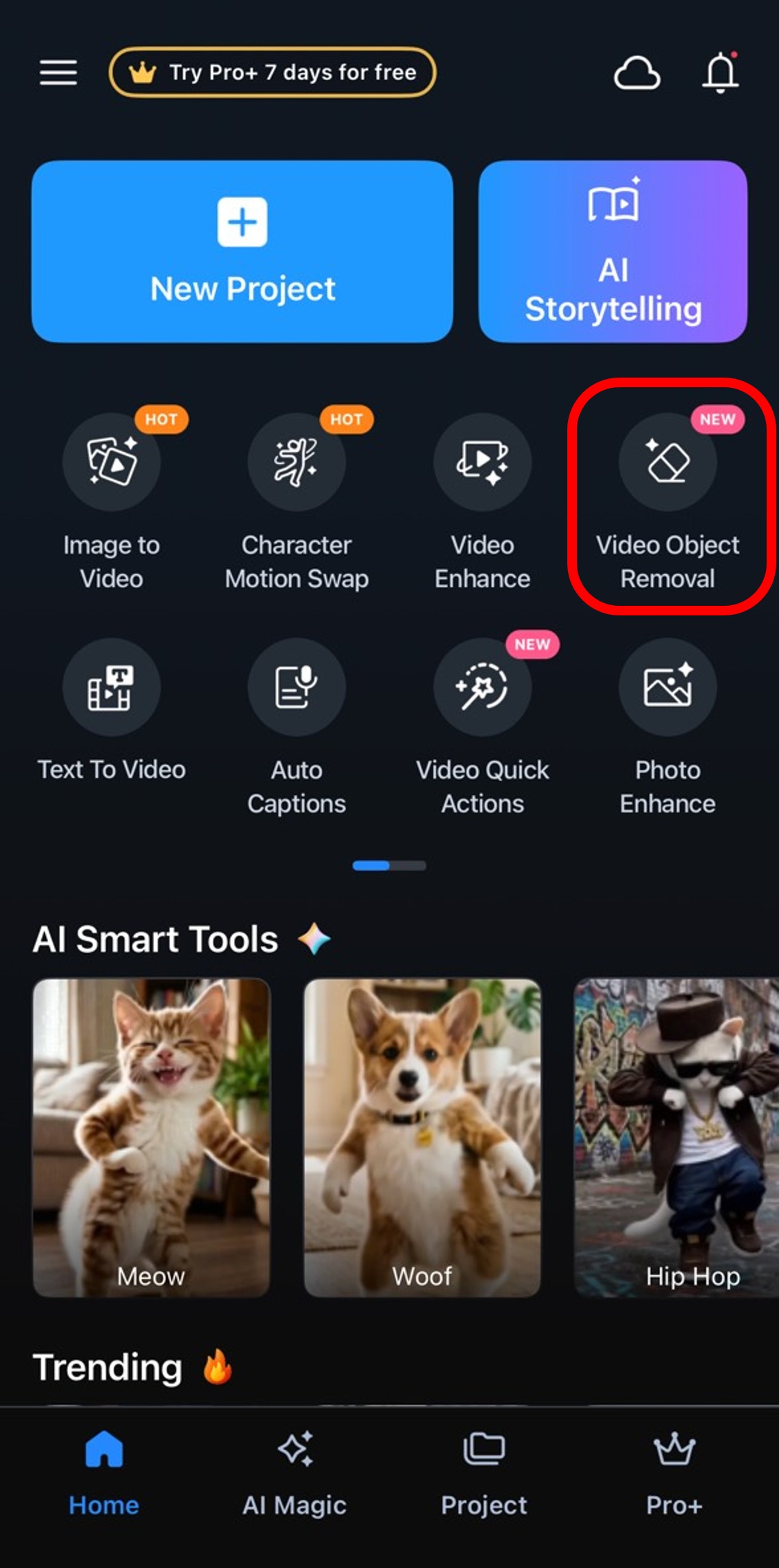 Remove Objects from Video with PowerDirector App