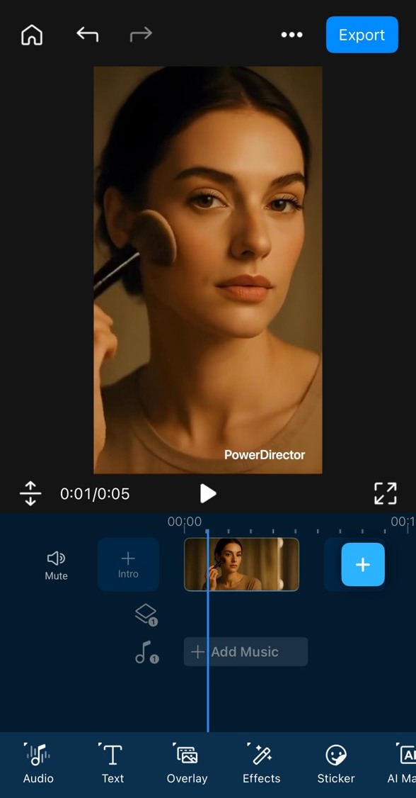 PowerDirector Interface