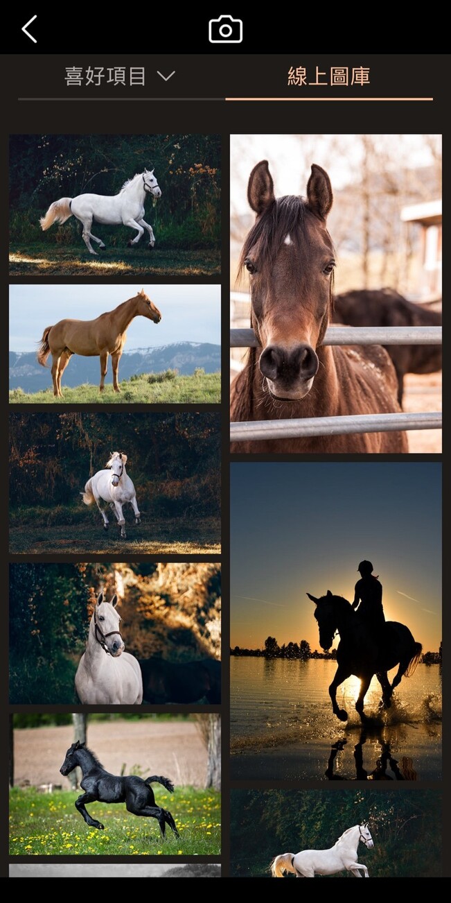 馬年吉祥話素材