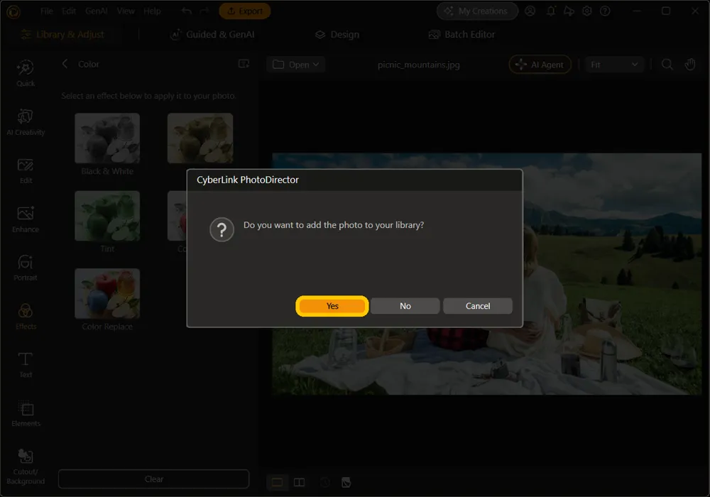 The prompt asking whether to add the photo to your library, with the Yes button highlighted