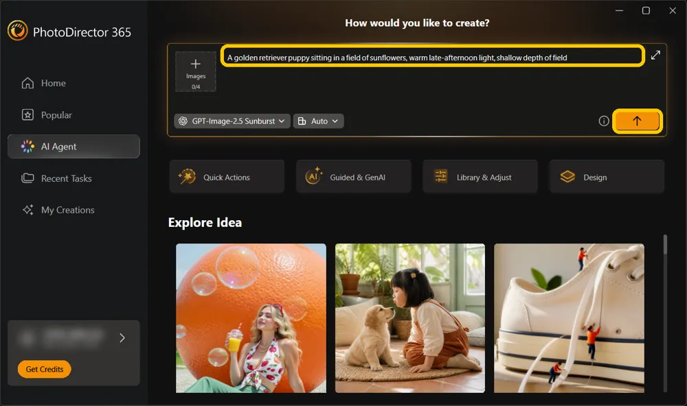 The launcher request box with the puppy description typed in and the send arrow highlighted