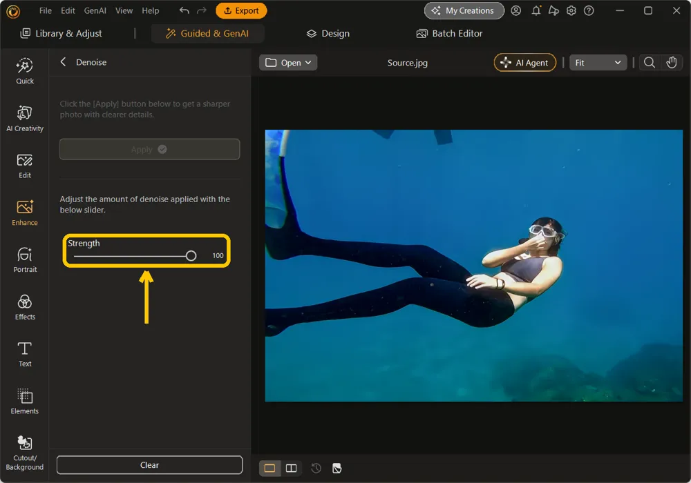 The Denoise panel with Strength at 100 highlighted and a smoother underwater photo