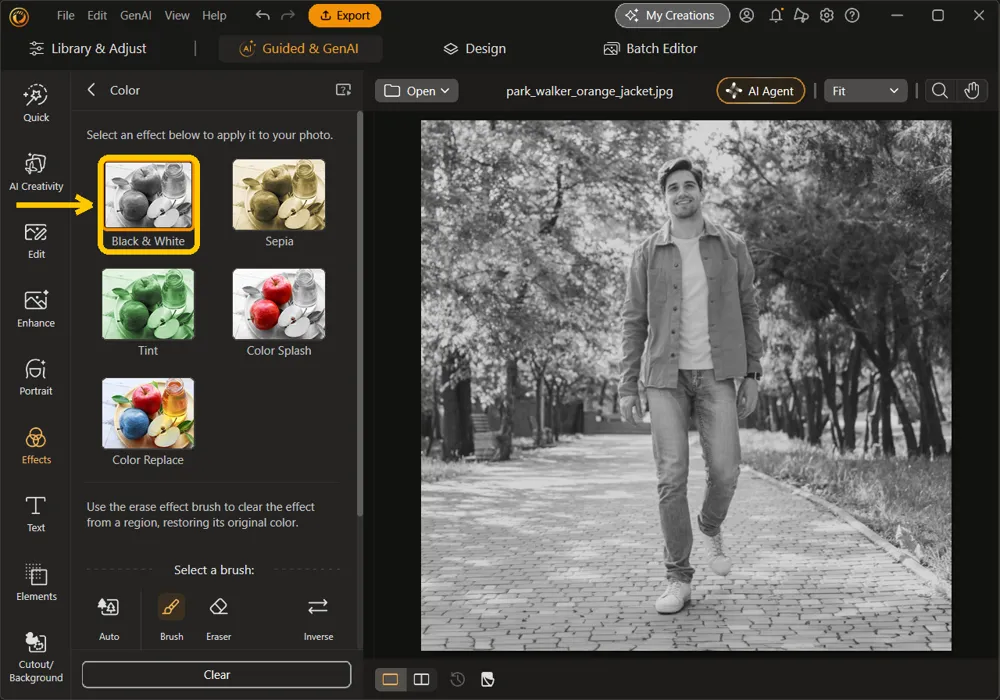 Black and White highlighted in the Color panel, with the park photo now in black and white