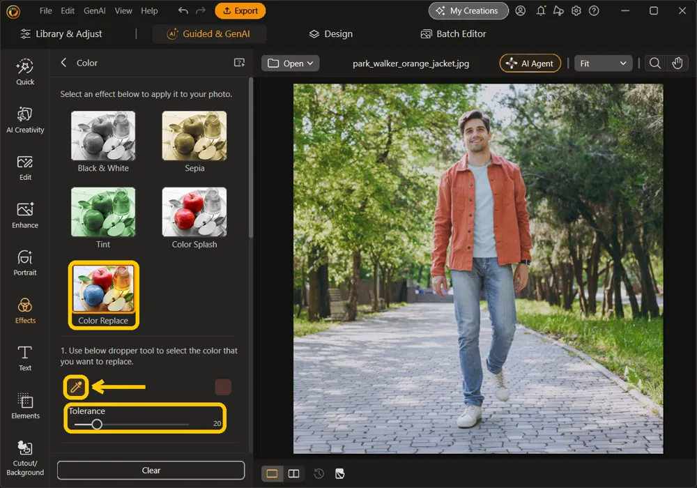 Color Replace, the dropper button, and the Tolerance slider highlighted in the Color panel