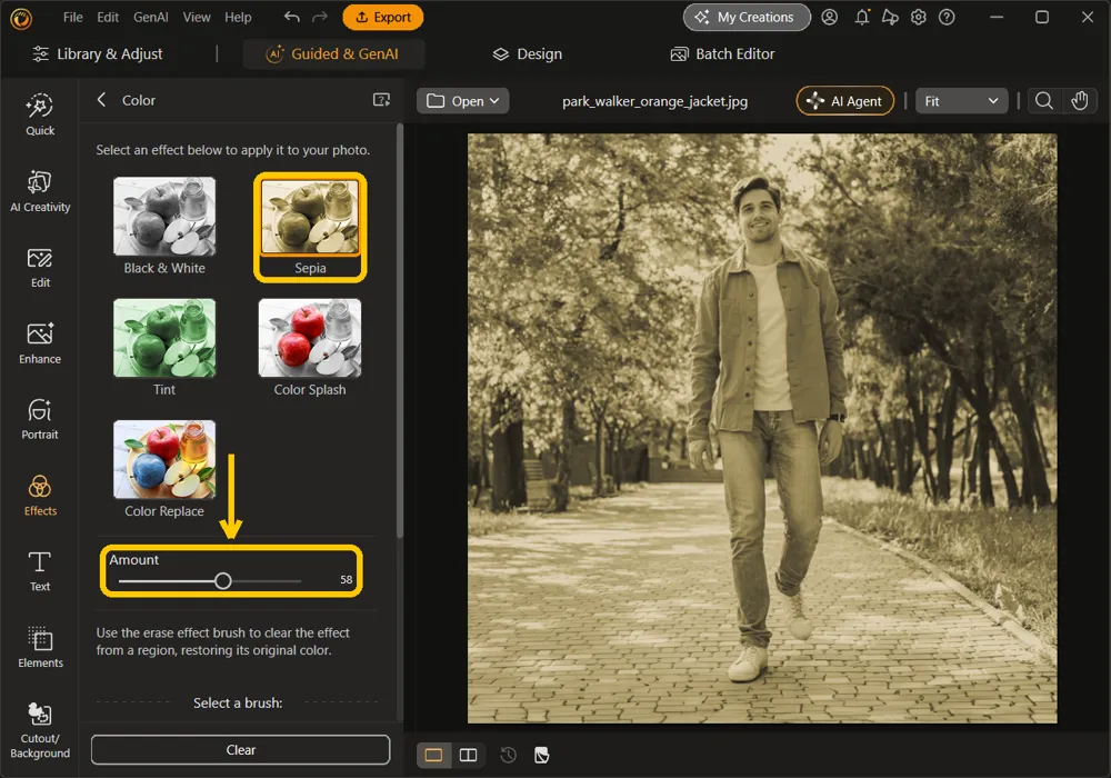 Sepia highlighted in the Color panel and the Amount slider at 58, with the photo in a soft brown tone